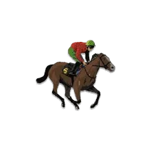 Horse Racing Live Odds